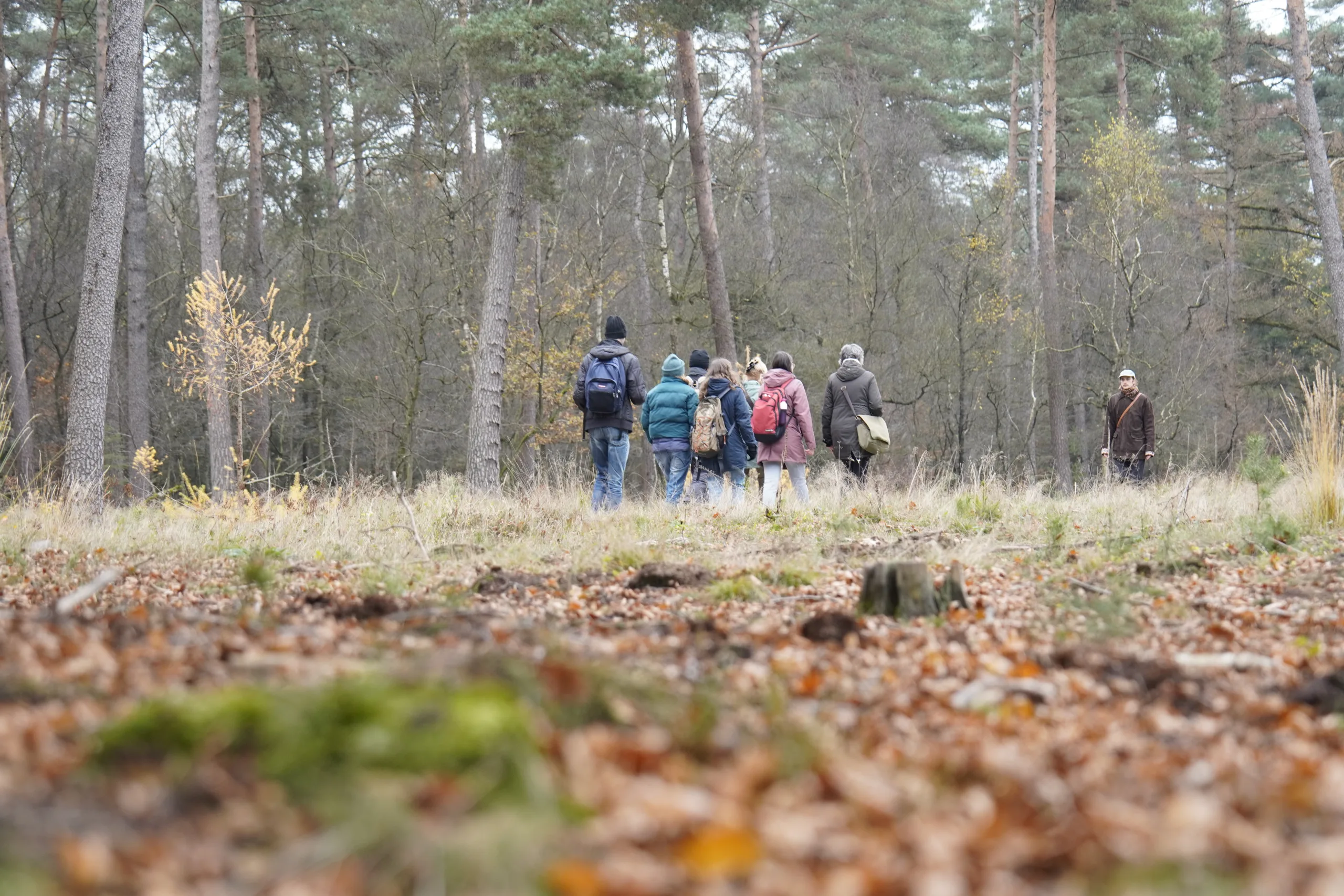 Traineeship – De Stem van de Veluwse Natuur